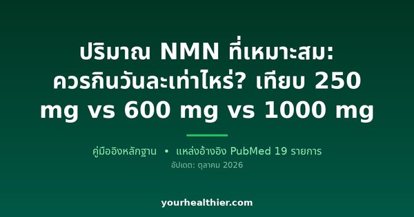 ปริมาณ NMN ที่เหมาะสม: ควรกินวันละเท่าไหร่? เทียบ 250 mg vs 600 mg vs 1000 mg