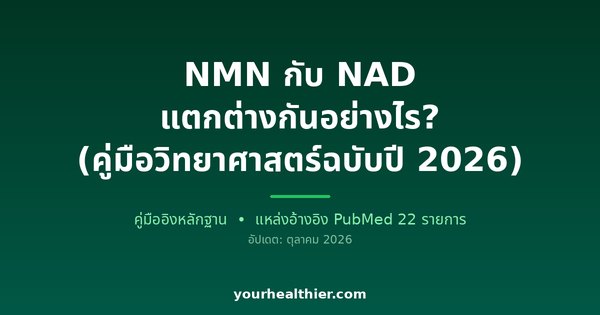 NMN กับ NAD แตกต่างกันอย่างไร? (คู่มือวิทยาศาสตร์ฉบับปี 2026)