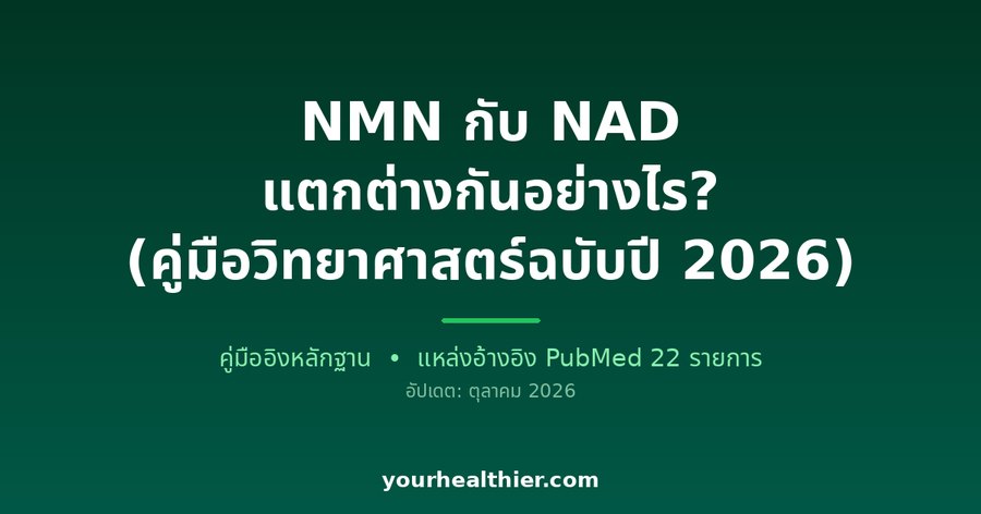 NMN กับ NAD แตกต่างกันอย่างไร? (คู่มือวิทยาศาสตร์ฉบับปี 2026)