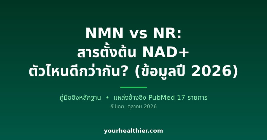 NMN vs NR: สารตั้งต้น NAD+ ตัวไหนดีกว่ากัน? (ข้อมูลปี 2026)