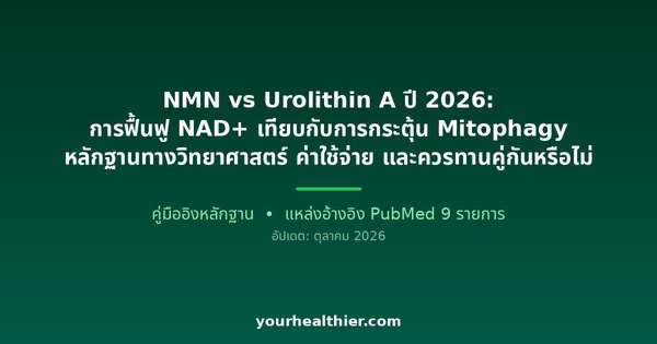 NMN vs Urolithin A ปี 2026: การฟื้นฟู NAD+ เทียบกับการกระตุ้น Mitophagy หลักฐานทางวิทยาศาสตร์ ค่าใช้จ่าย และควรทานคู่กันหรือไม่