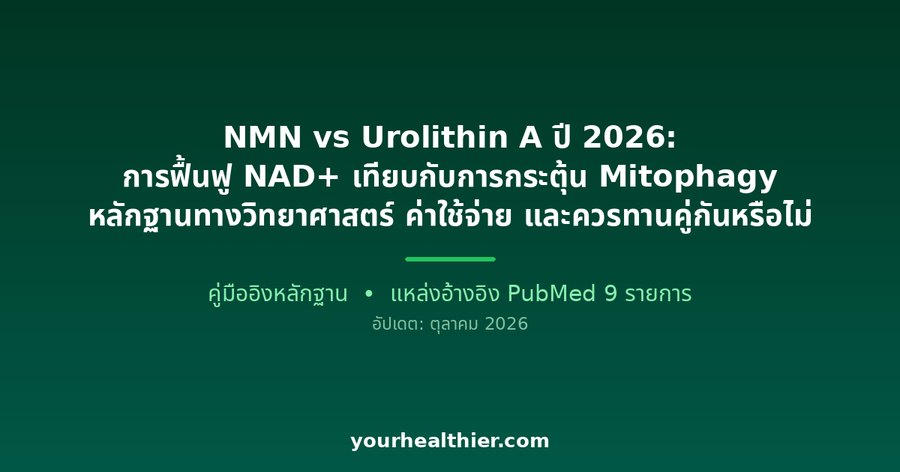 NMN vs Urolithin A ปี 2026: การฟื้นฟู NAD+ เทียบกับการกระตุ้น Mitophagy หลักฐานทางวิทยาศาสตร์ ค่าใช้จ่าย และควรทานคู่กันหรือไม่