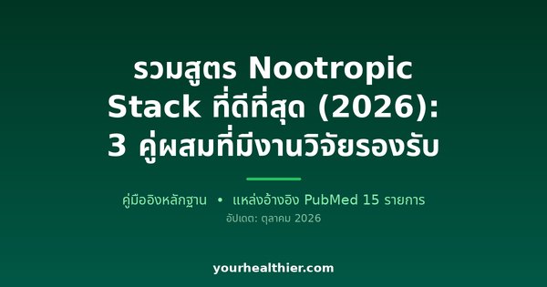 รวมสูตร Nootropic Stack ที่ดีที่สุด (2026): 3 คู่ผสมที่มีงานวิจัยรองรับ
