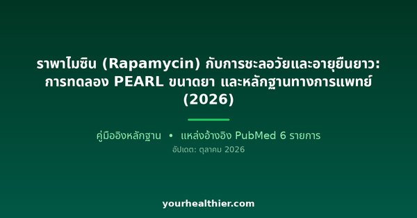 ราพาไมซิน (Rapamycin) กับการชะลอวัยและอายุยืนยาว: การทดลอง PEARL ขนาดยา และหลักฐานทางการแพทย์ (2026)