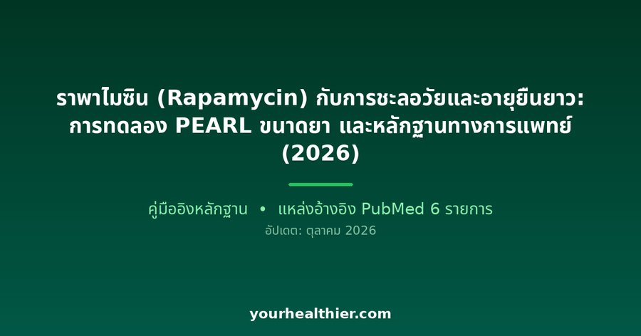 ราพาไมซิน (Rapamycin) กับการชะลอวัยและอายุยืนยาว: การทดลอง PEARL ขนาดยา และหลักฐานทางการแพทย์ (2026)