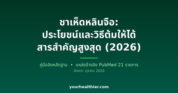 ชาเห็ดหลินจือ: ประโยชน์และวิธีต้มให้ได้สารสำคัญสูงสุด (2026)