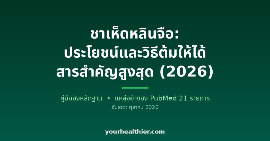 ชาเห็ดหลินจือ: ประโยชน์และวิธีต้มให้ได้สารสำคัญสูงสุด (2026)