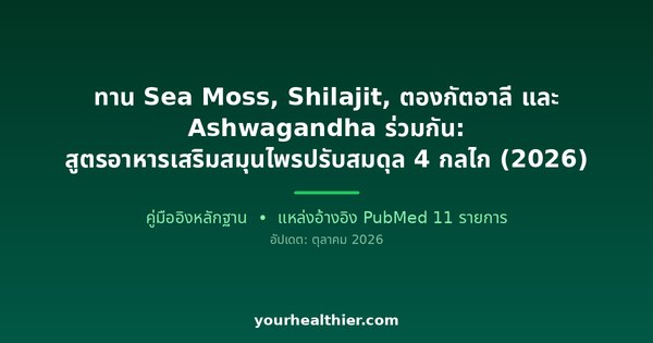 ทาน Sea Moss, Shilajit, ตองกัตอาลี และ Ashwagandha ร่วมกัน: สูตรอาหารเสริมสมุนไพรปรับสมดุล 4 กลไก (2026)