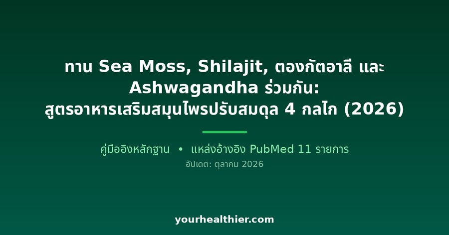 ทาน Sea Moss, Shilajit, ตองกัตอาลี และ Ashwagandha ร่วมกัน: สูตรอาหารเสริมสมุนไพรปรับสมดุล 4 กลไก (2026)