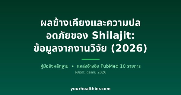 ผลข้างเคียงและความปลอดภัยของ Shilajit: ข้อมูลจากงานวิจัย (2026)
