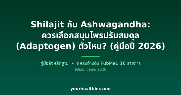 Shilajit กับ Ashwagandha: ควรเลือกสมุนไพรปรับสมดุล (Adaptogen) ตัวไหน? (คู่มือปี 2026)