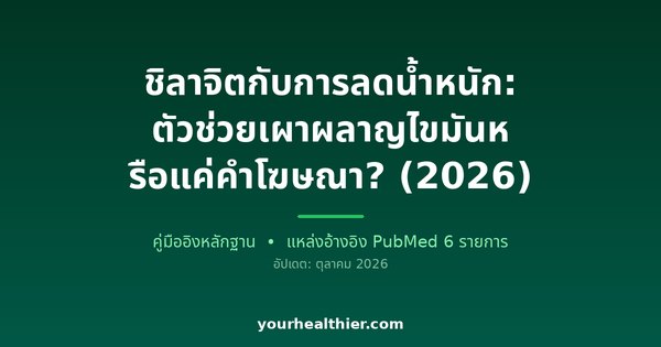 ชิลาจิตกับการลดน้ำหนัก: ตัวช่วยเผาผลาญไขมันหรือแค่คำโฆษณา? (2026)
