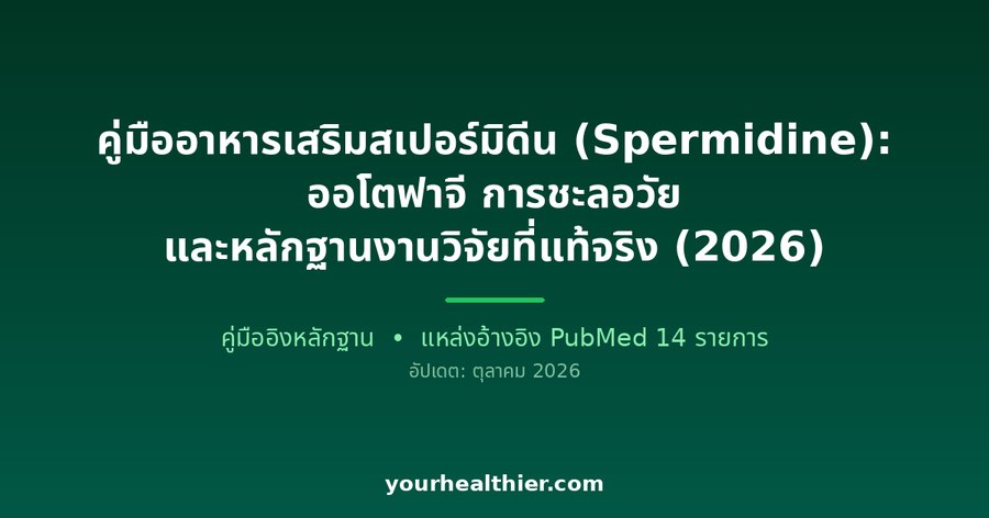 คู่มืออาหารเสริมสเปอร์มิดีน (Spermidine): ออโตฟาจี การชะลอวัย และหลักฐานงานวิจัยที่แท้จริง (2026)
