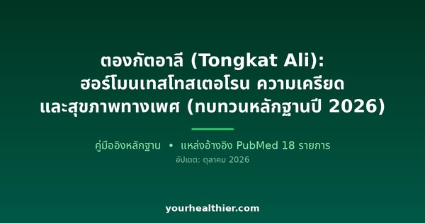 ตองกัตอาลี (Tongkat Ali): ฮอร์โมนเทสโทสเตอโรน ความเครียด และสุขภาพทางเพศ (ทบทวนหลักฐานปี 2026)