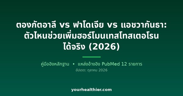 ตองกัตอาลี vs ฟาโดเจีย vs แอชวากันธา: ตัวไหนช่วยเพิ่มฮอร์โมนเทสโทสเตอโรนได้จริง (2026)