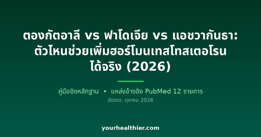 ตองกัตอาลี vs ฟาโดเจีย vs แอชวากันธา: ตัวไหนช่วยเพิ่มฮอร์โมนเทสโทสเตอโรนได้จริง (2026)