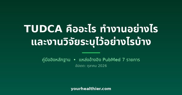 TUDCA คืออะไร ทำงานอย่างไร และงานวิจัยระบุไว้อย่างไรบ้าง