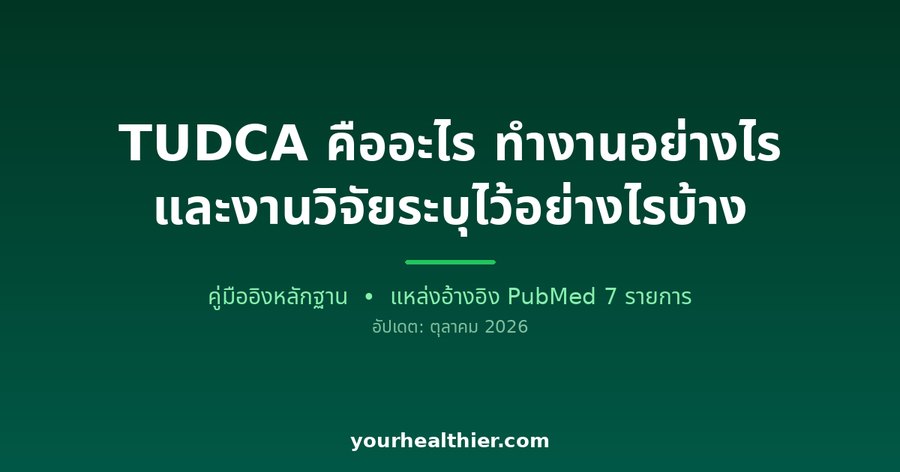 TUDCA คืออะไร ทำงานอย่างไร และงานวิจัยระบุไว้อย่างไรบ้าง