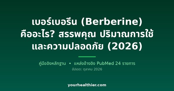 เบอร์เบอรีน (Berberine) คืออะไร? สรรพคุณ ปริมาณการใช้ และความปลอดภัย (2026)