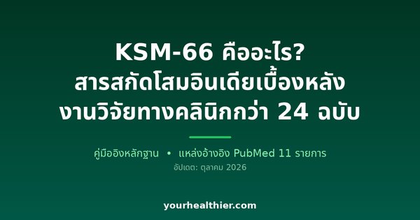 KSM-66 คืออะไร? สารสกัดโสมอินเดียเบื้องหลังงานวิจัยทางคลินิกกว่า 24 ฉบับ