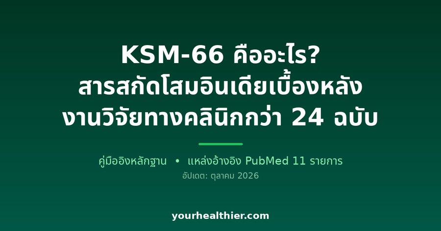 KSM-66 คืออะไร? สารสกัดโสมอินเดียเบื้องหลังงานวิจัยทางคลินิกกว่า 24 ฉบับ