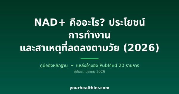 NAD+ คืออะไร? ประโยชน์ การทำงาน และสาเหตุที่ลดลงตามวัย (2026)