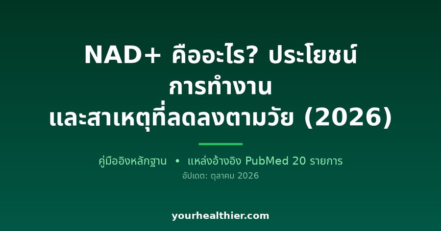 NAD+ คืออะไร? ประโยชน์ การทำงาน และสาเหตุที่ลดลงตามวัย (2026)