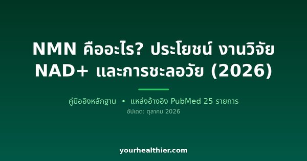 NMN คืออะไร? ประโยชน์ งานวิจัย NAD+ และการชะลอวัย (2026)