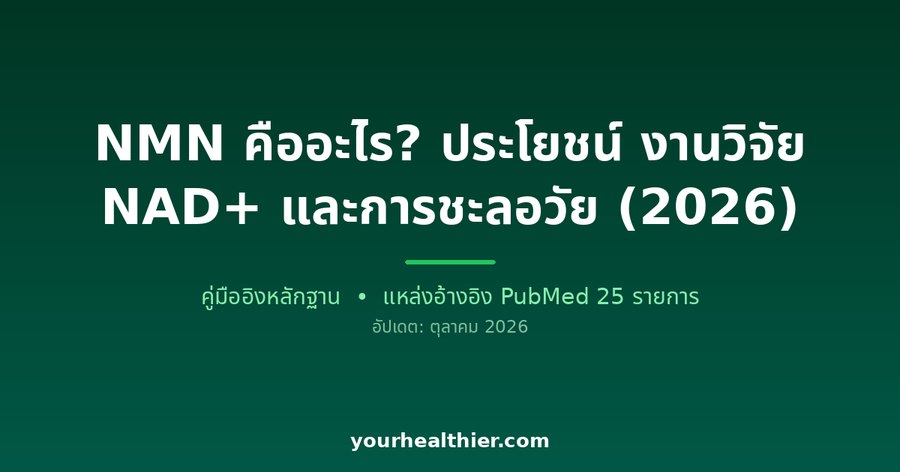 NMN คืออะไร? ประโยชน์ งานวิจัย NAD+ และการชะลอวัย (2026)