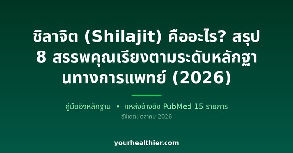 ชิลาจิต (Shilajit) คืออะไร? สรุป 8 สรรพคุณเรียงตามระดับหลักฐานทางการแพทย์ (2026)